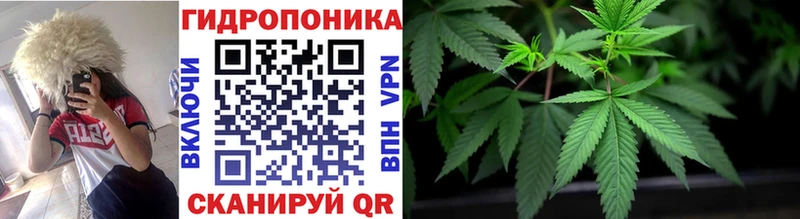Шишки марихуана White Widow  Купить  Саки 